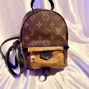 Mini Louis Vuitton Palm Springs Backpack